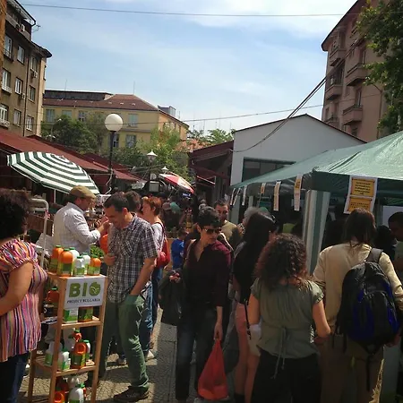 Nerazdelni